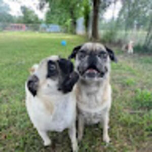 Meet your Posher, Kameron